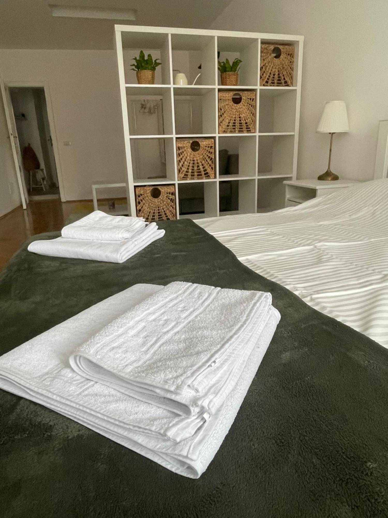 Cozy Appartement Braşov