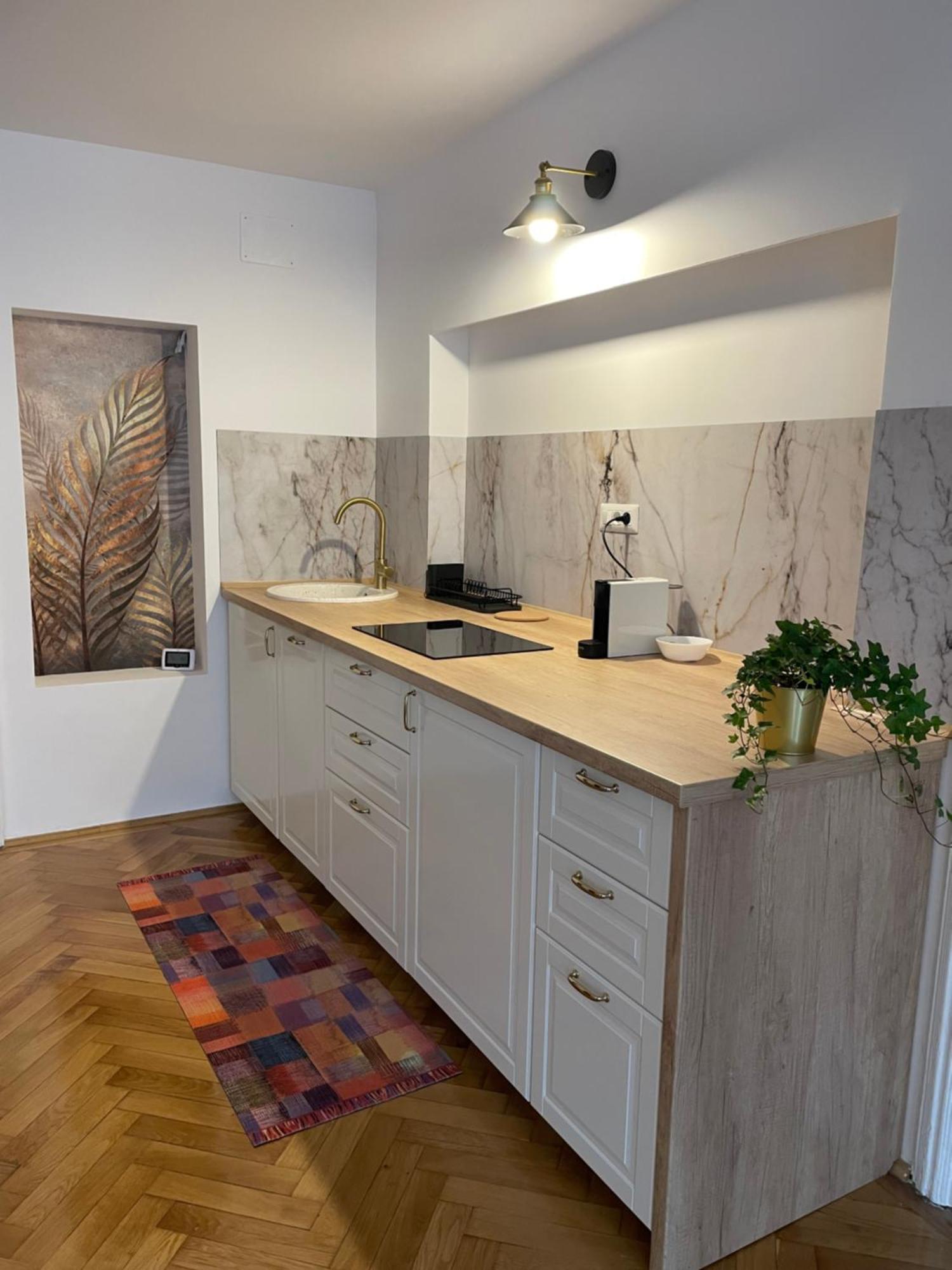 Cozy Appartement Braşov